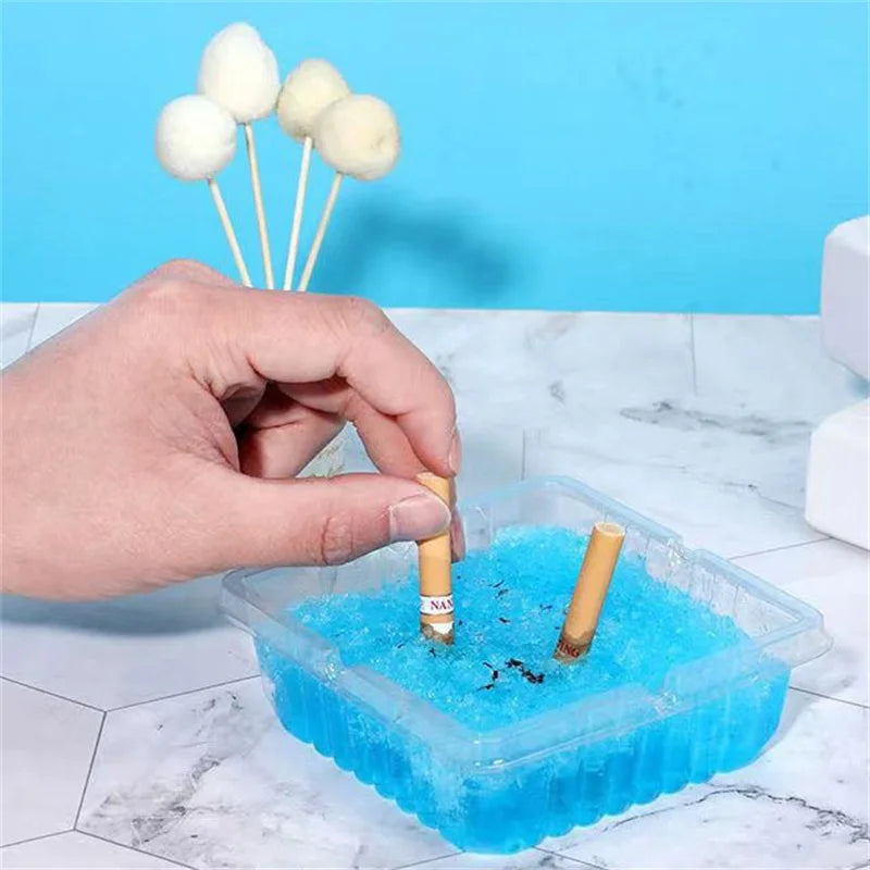 Disposable Ashtrays (10 ct)